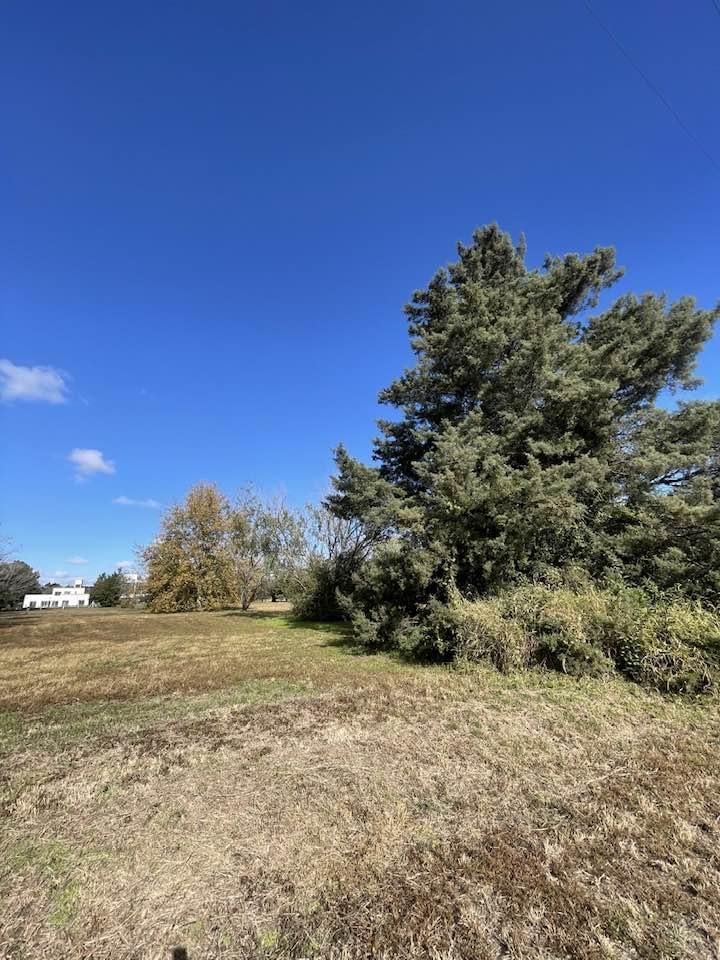 Foto de Se vende terreno en Valle del golf superficie de 1500 mts., imagen 3