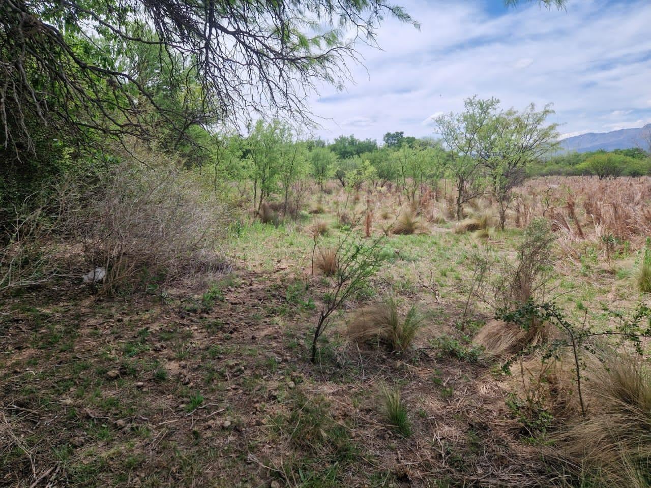 Foto de Terreno Villa de Las Rosas Vista a Las Sierras - Escritura, imagen 5