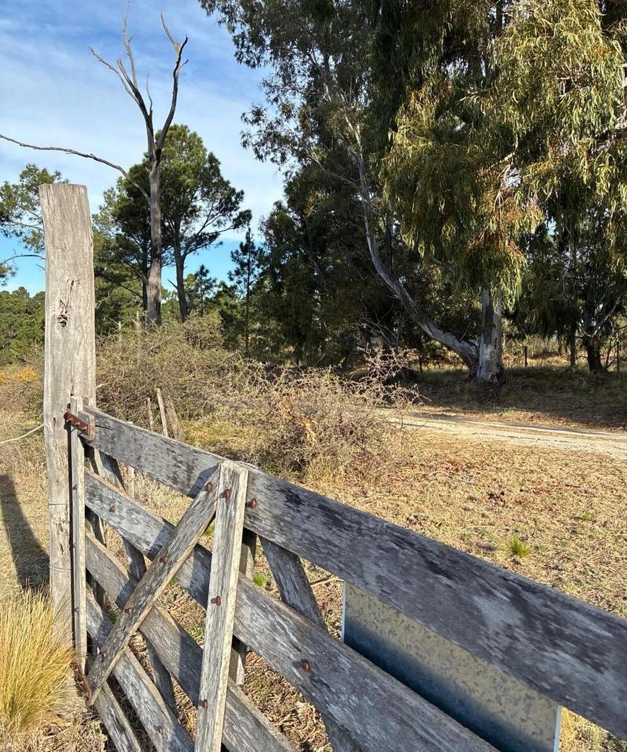 Foto de Vendo Terreno 9212 m2, Barrio exclusivo, Luz, Agua, Bajada al Rio. San, imagen 4