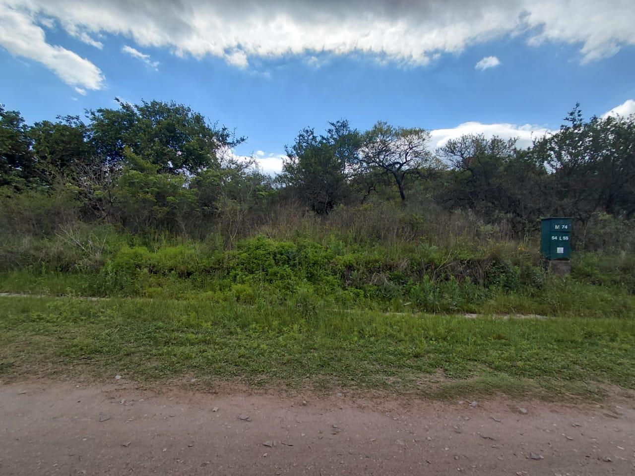 Foto de ESPECTACULAR LOTE EN SIERRA NUEVA, imagen 3