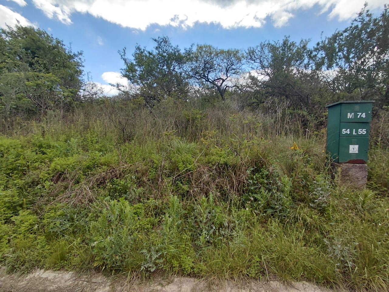 Foto de ESPECTACULAR LOTE EN SIERRA NUEVA, imagen 5