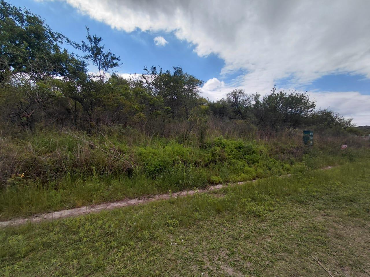 Foto de ESPECTACULAR LOTE EN SIERRA NUEVA, imagen 4