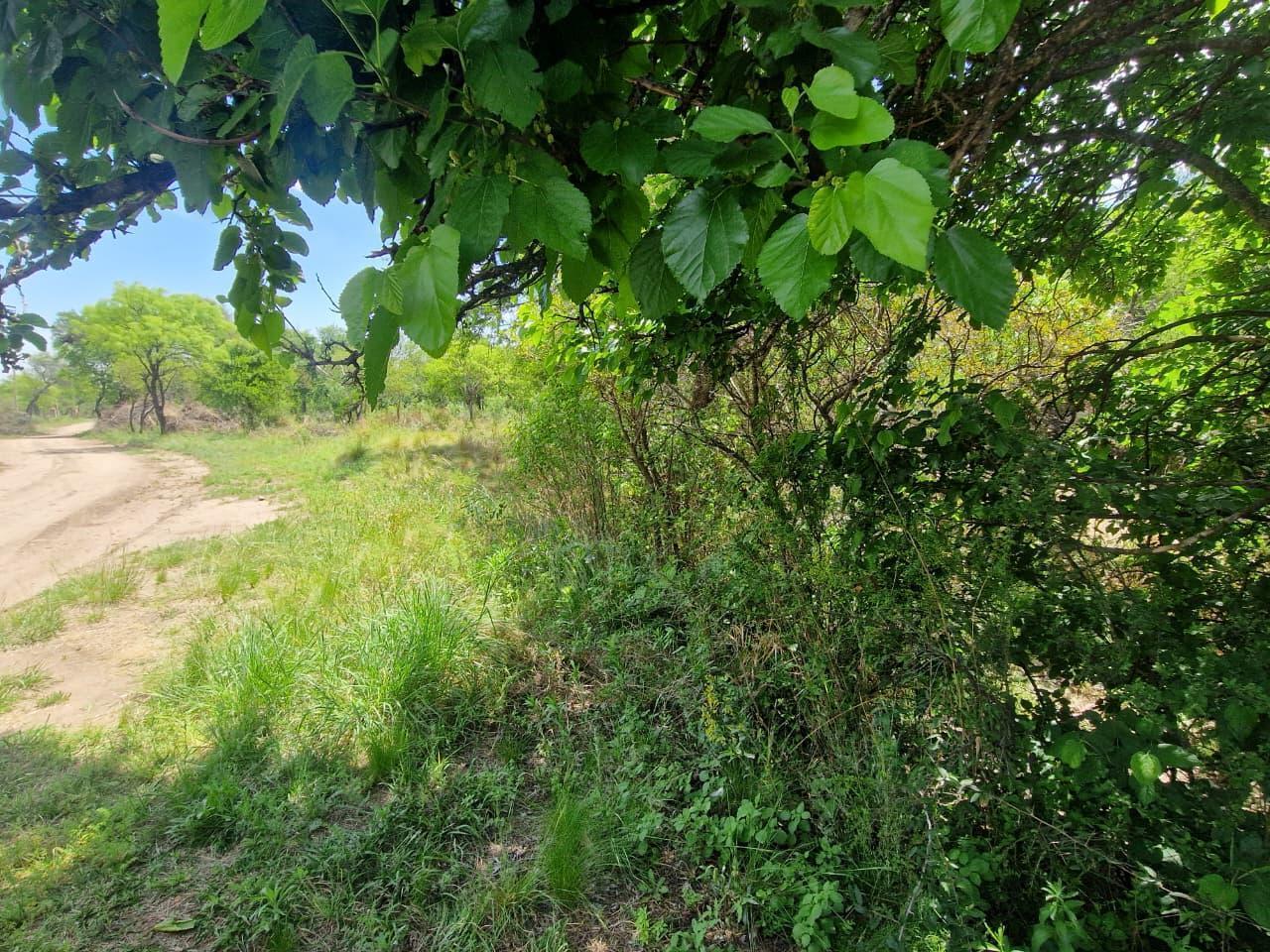 Foto de Terreno en Villa De Las Rosas, imagen 5