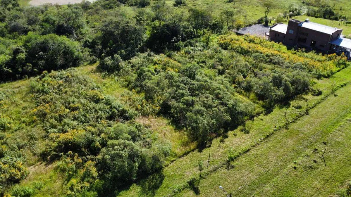 VENTA DE TERRENO 1000 mc EN LA ALMONA 2