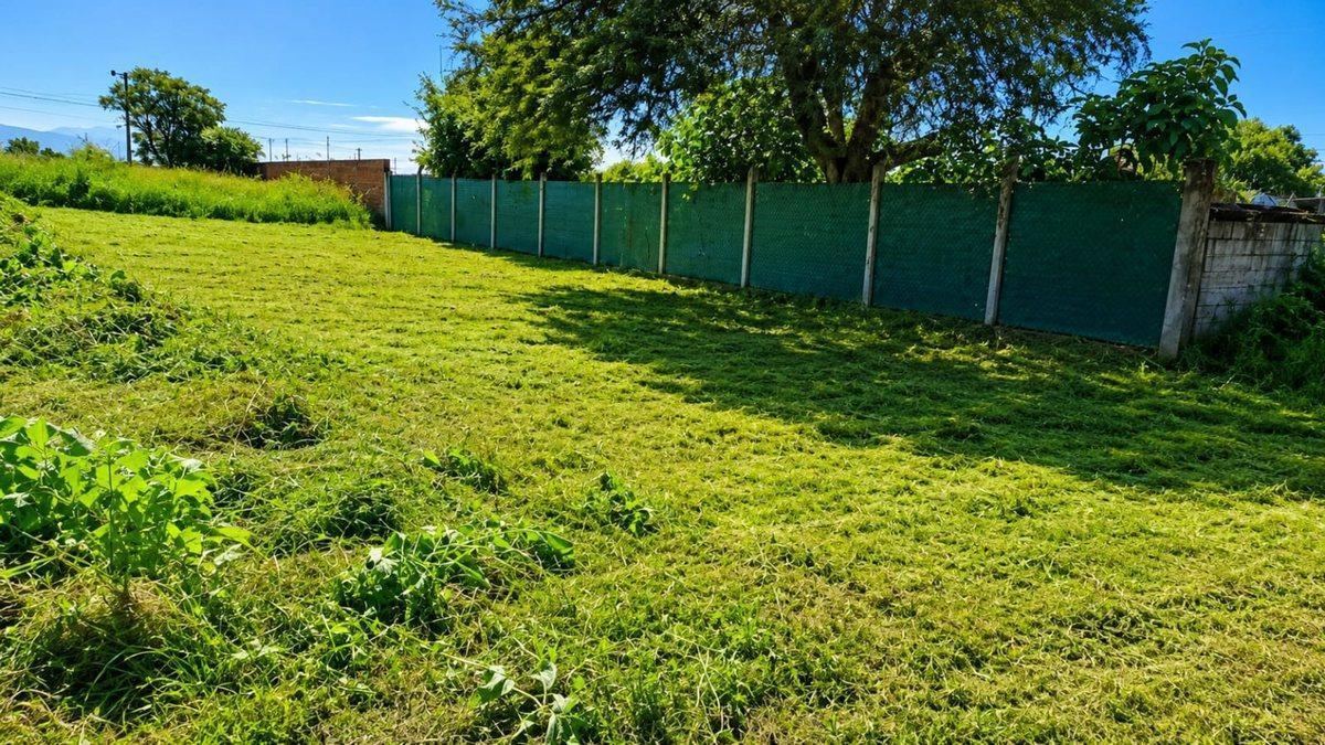 VENTA TERRENO NUEVO ALISOS 300 M2