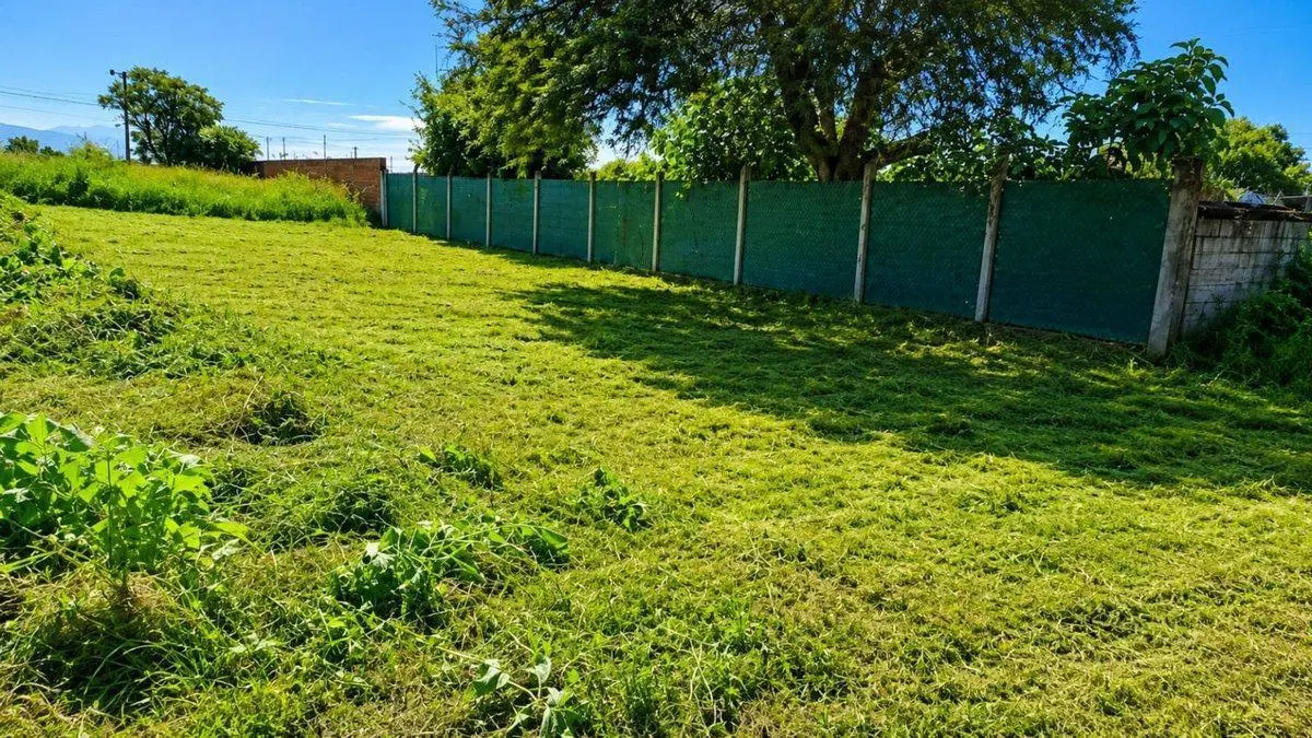 VENTA TERRENO NUEVO ALISOS 300 M2 2