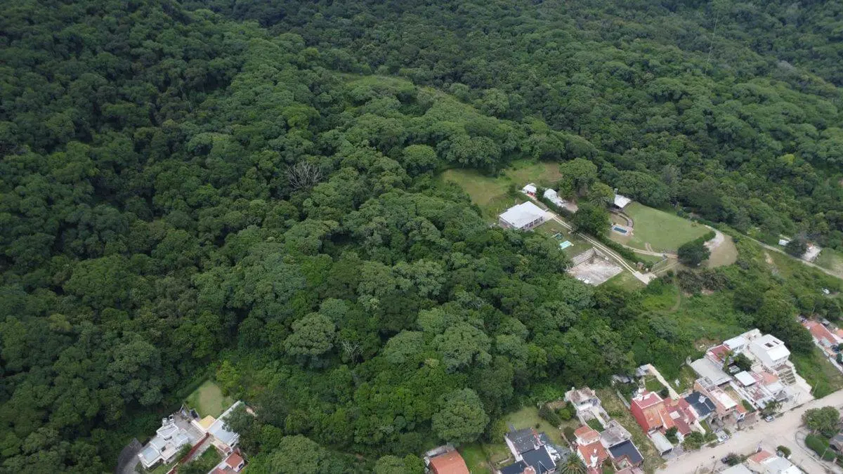 VENTA TERRENO 10.350,23 M2 LOS PERALES 2