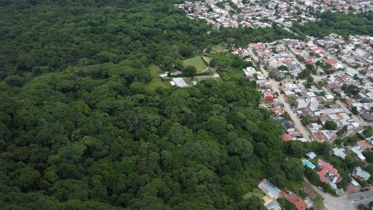 VENTA TERRENO 10.350,23 M2 LOS PERALES 3