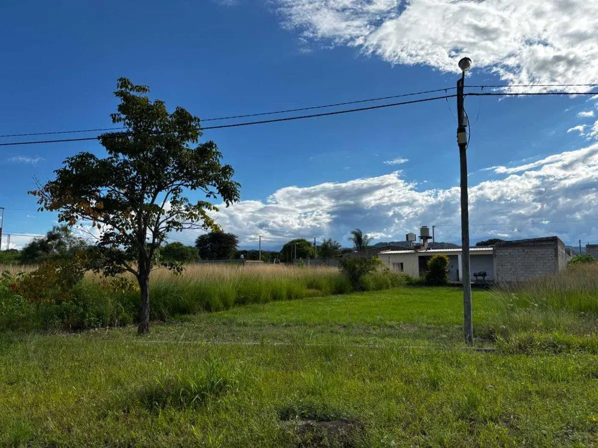 VENTA TERRENO NUEVO ALISOS 277 M2 FRENTE ROTONDA 2