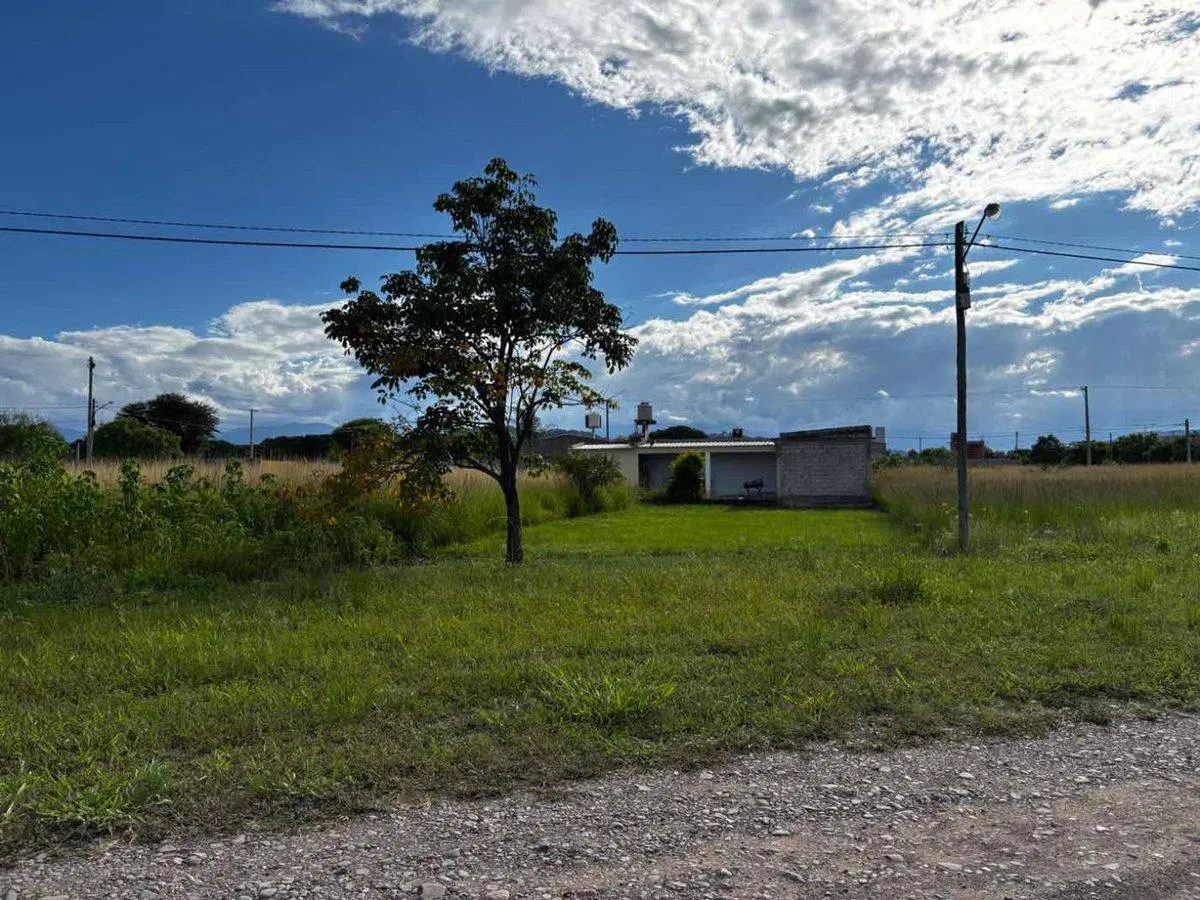 VENTA TERRENO NUEVO ALISOS 277 M2 FRENTE ROTONDA 4