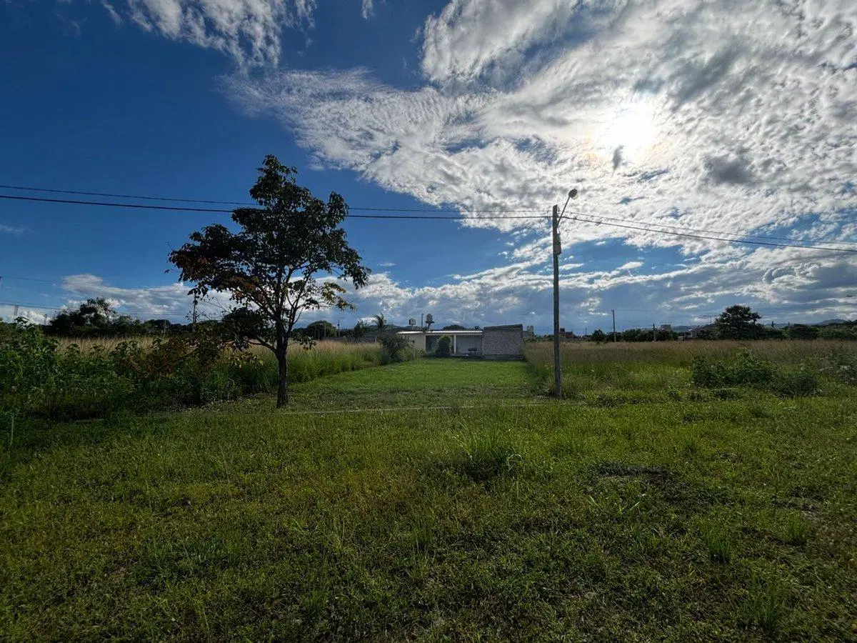 VENTA TERRENO NUEVO ALISOS 277 M2 FRENTE ROTONDA 3