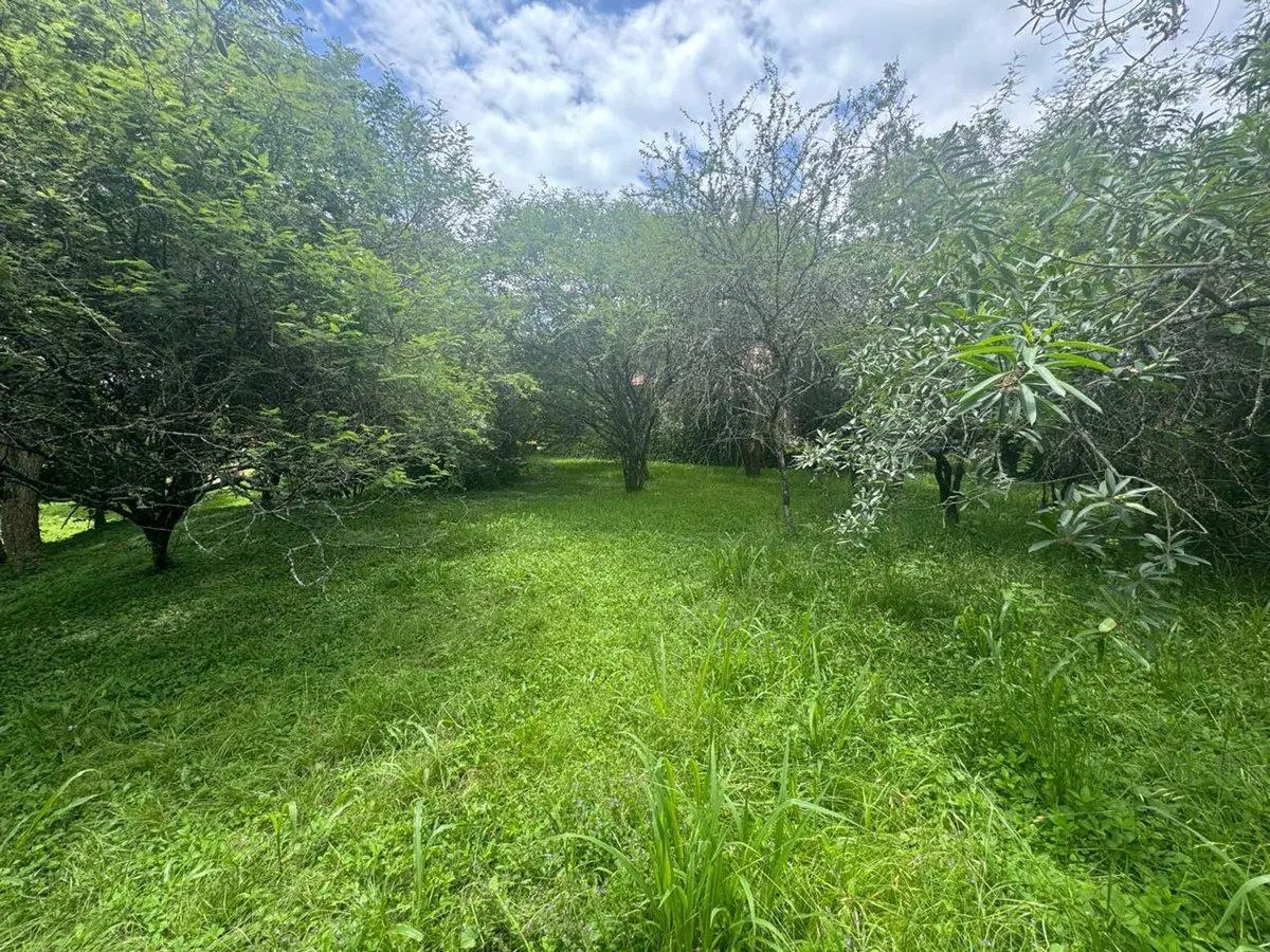 VENTA TERRENO 956,86 M2 - B° ALTO LA VIÑA 3