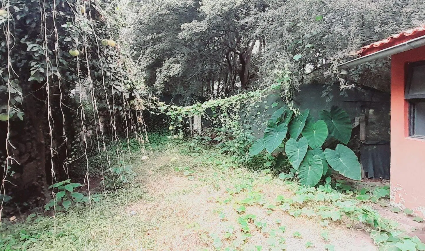 VENTA DE CASA EN B LOS PERALES 4