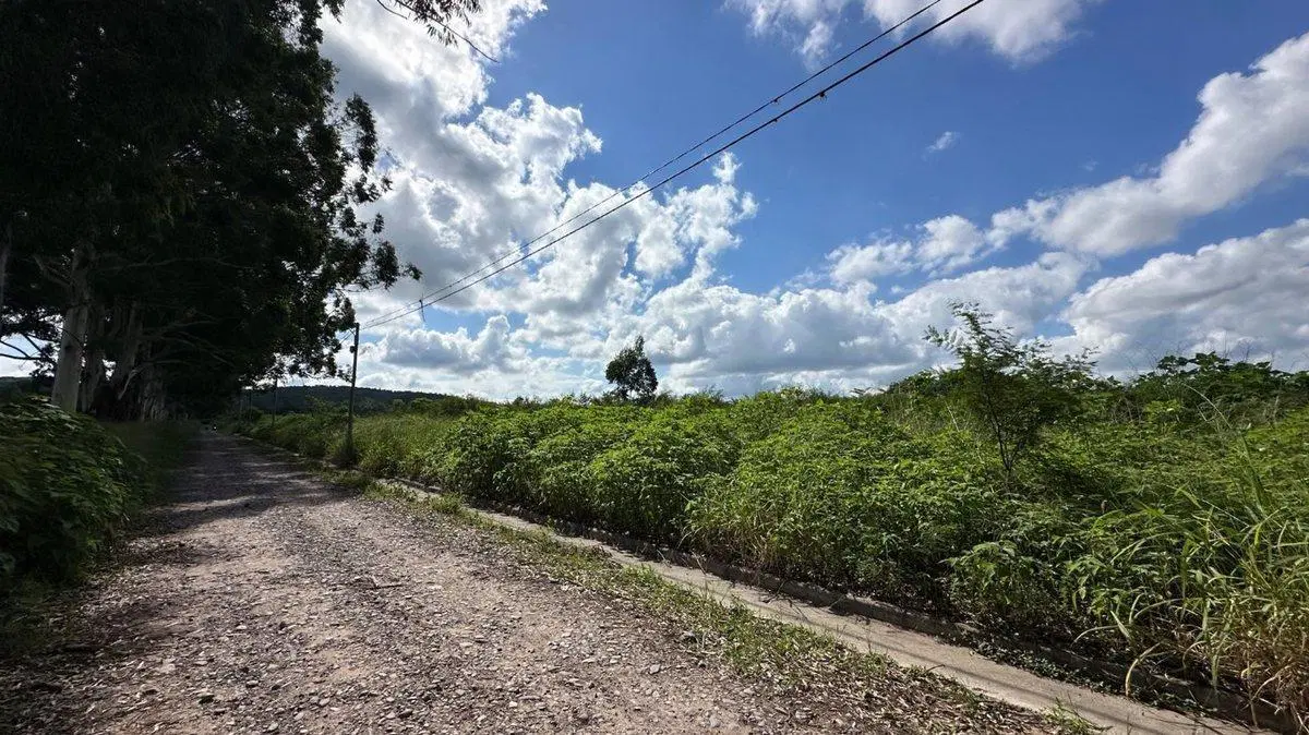 VENTA TERRENO 600 m2 EN BOSQUE DEL CEIBAL I 1003 5