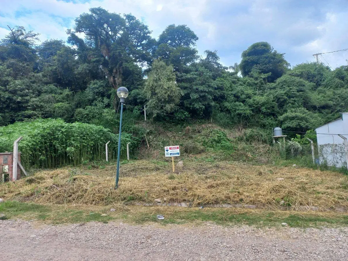 VENTA TERRENO EN BARRIO LAS MORAS 720,95 m² 4