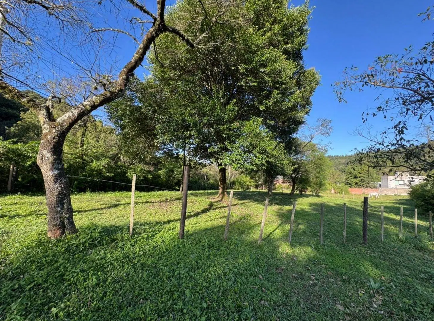 VENTA TERRENO EN ESQ. 1.054,76 M2 LOS NOGALES YALA 3
