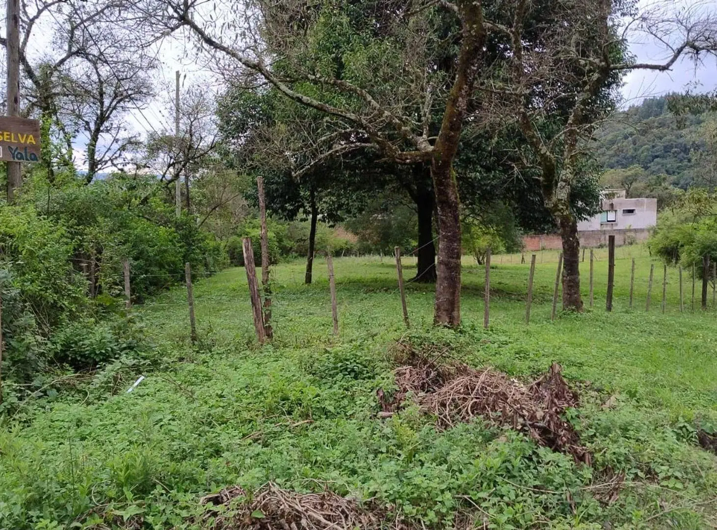 VENTA TERRENO EN ESQ. 1.054,76 M2 LOS NOGALES YALA 5