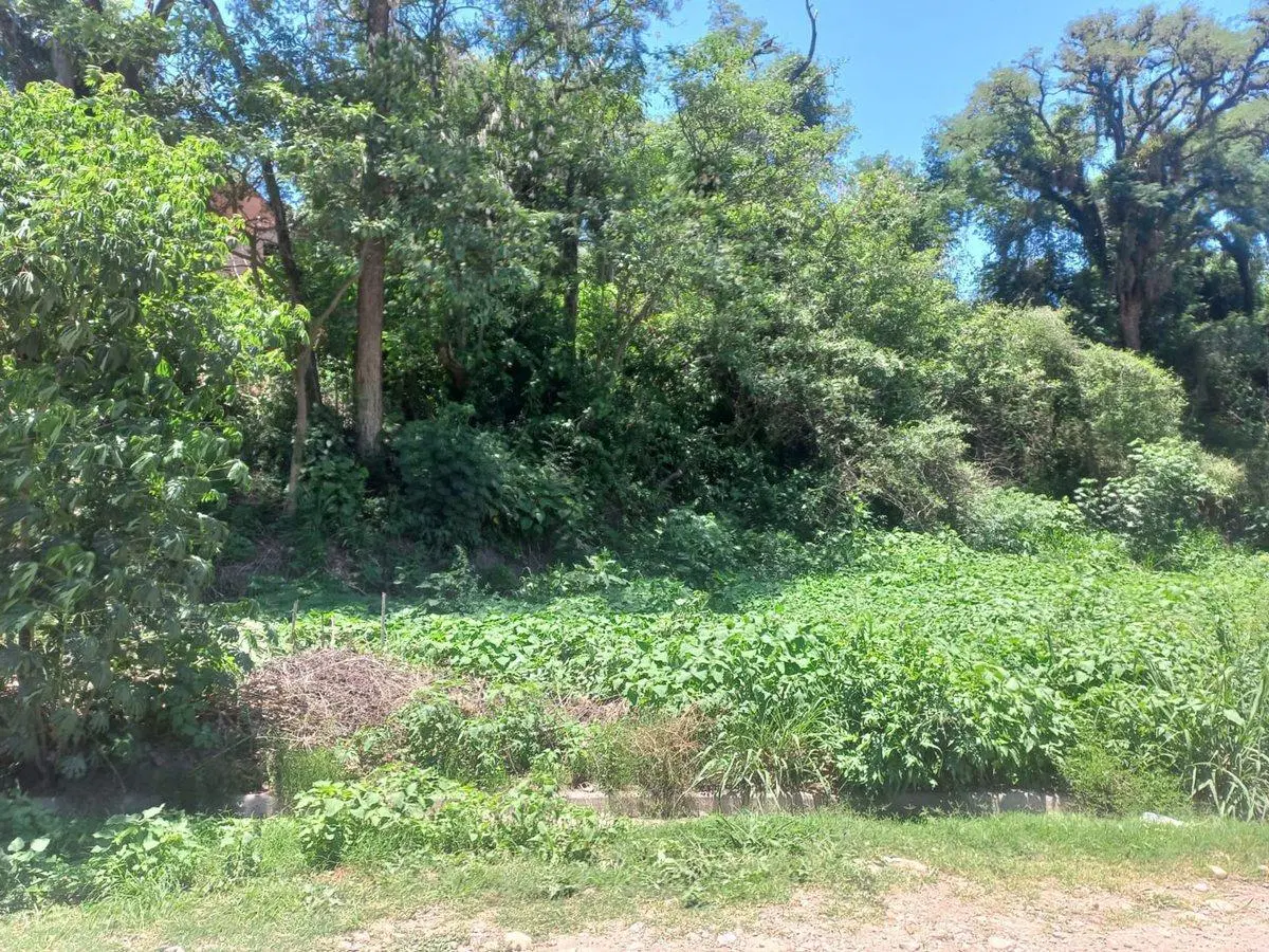 VENTA TERRENO EN BARRIO LAS MORAS 815,11 m² 4