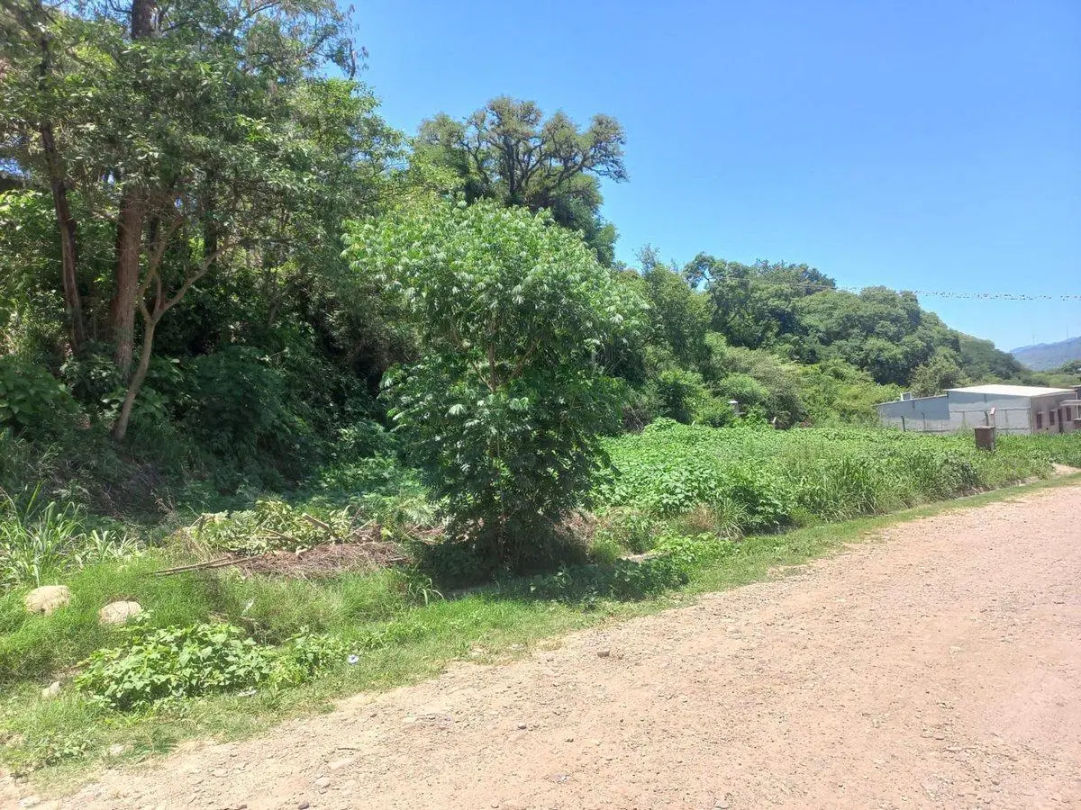 VENTA TERRENO EN BARRIO LAS MORAS 815,11 m² 3