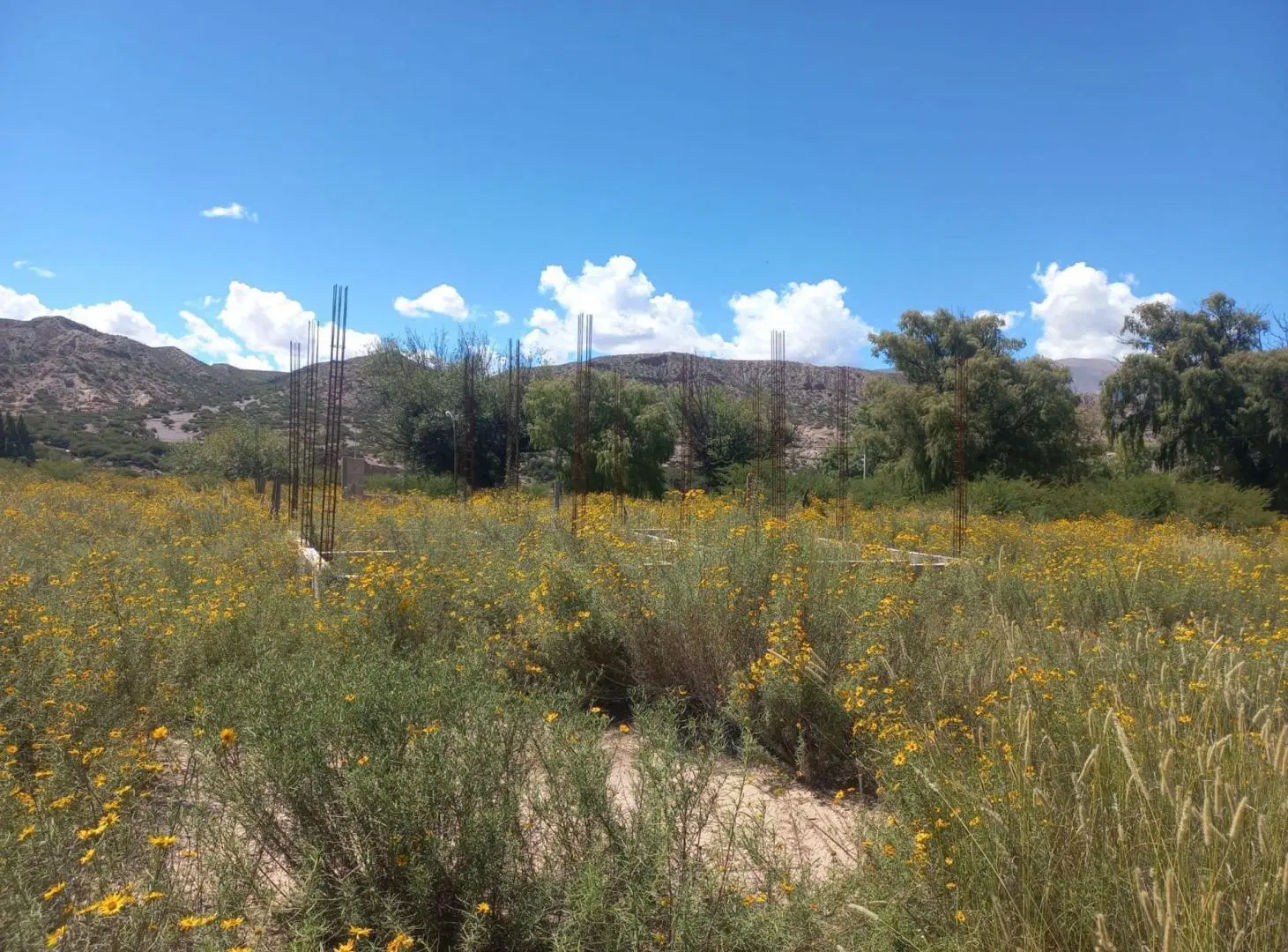 VENTA TERRENO HUMAHUACA 300 m² 2