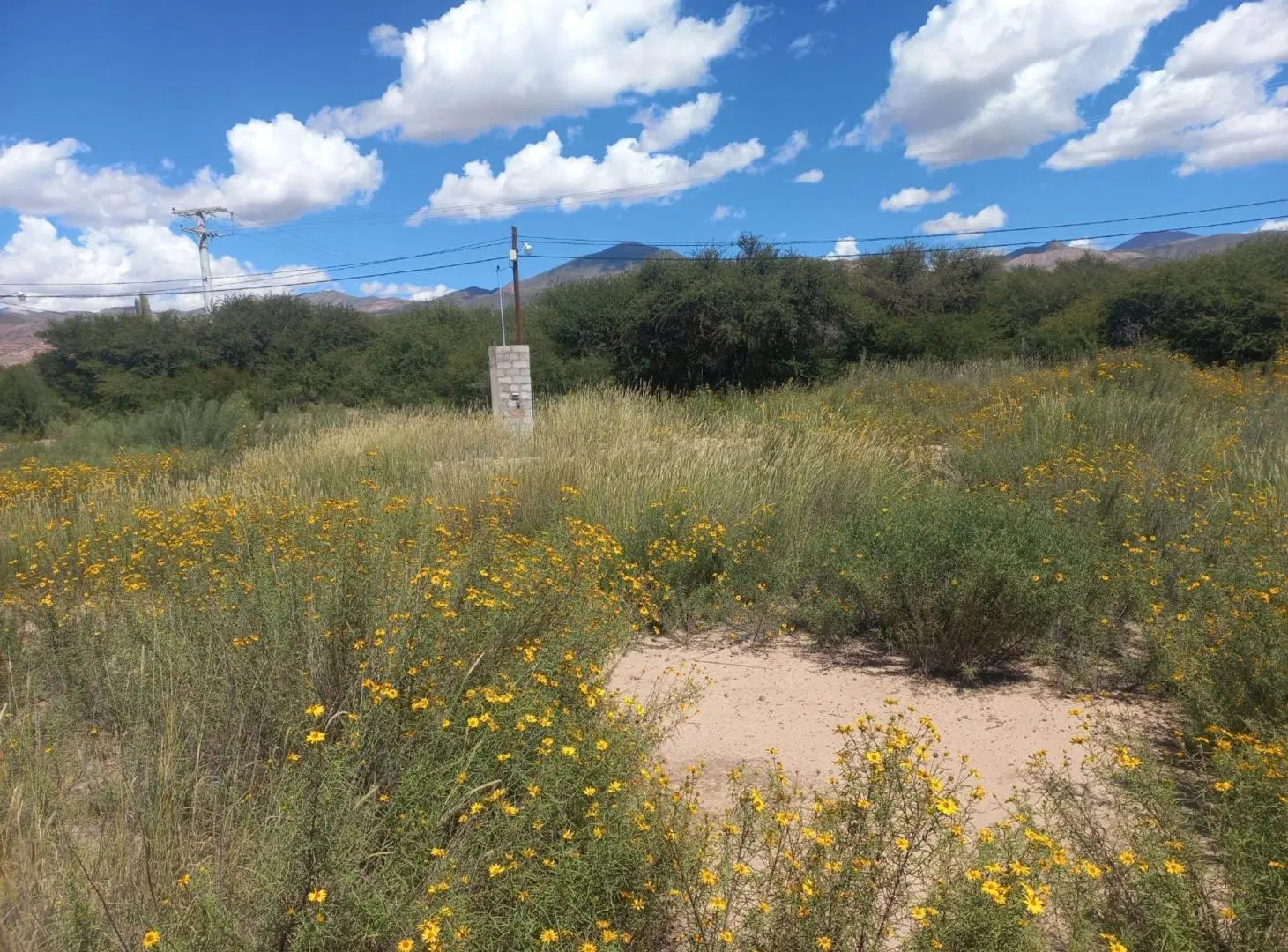 VENTA TERRENO HUMAHUACA 300 m² 3