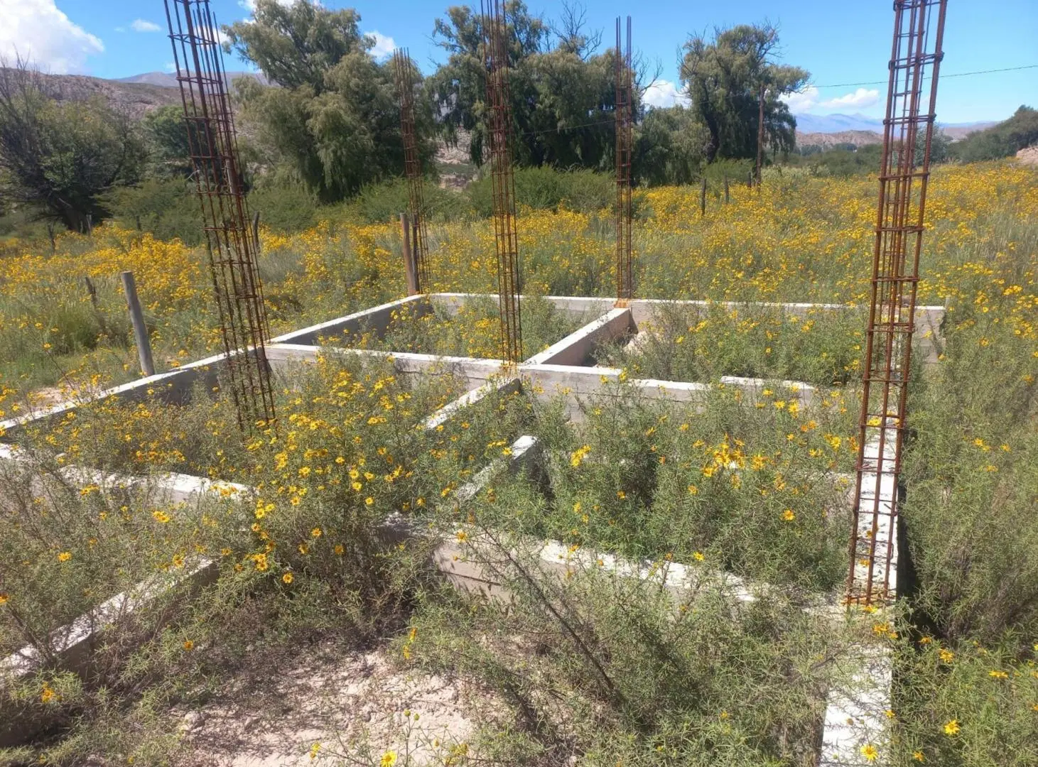 VENTA TERRENO HUMAHUACA 300 m² 4