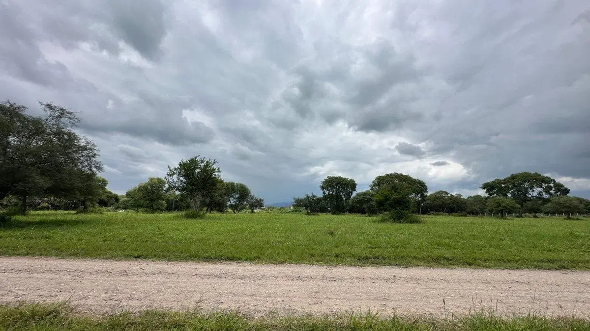 Venta terreno 2.000m2 Country Las Delicias 3