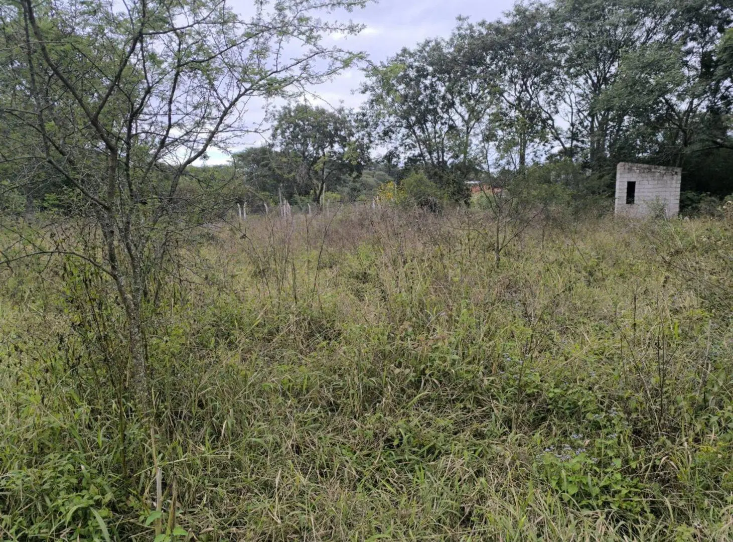 VENTA TERRENO 600m2 ESQUINA LAGUNAS DEL CEIBAL 5