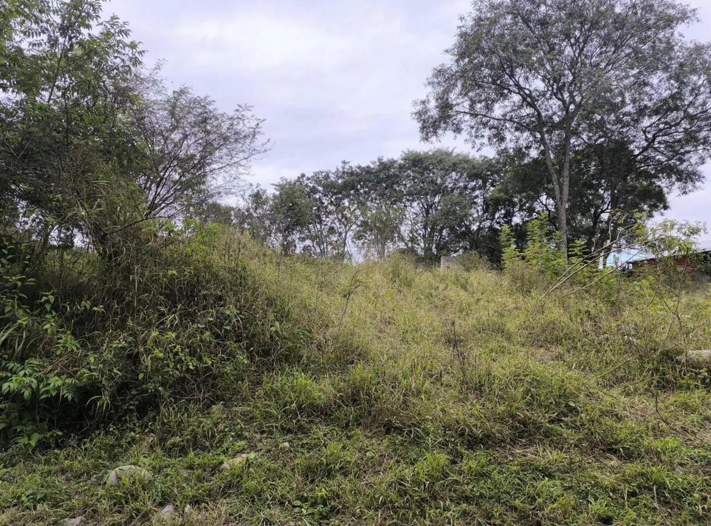 VENTA TERRENO 600m2 ESQUINA LAGUNAS DEL CEIBAL 2