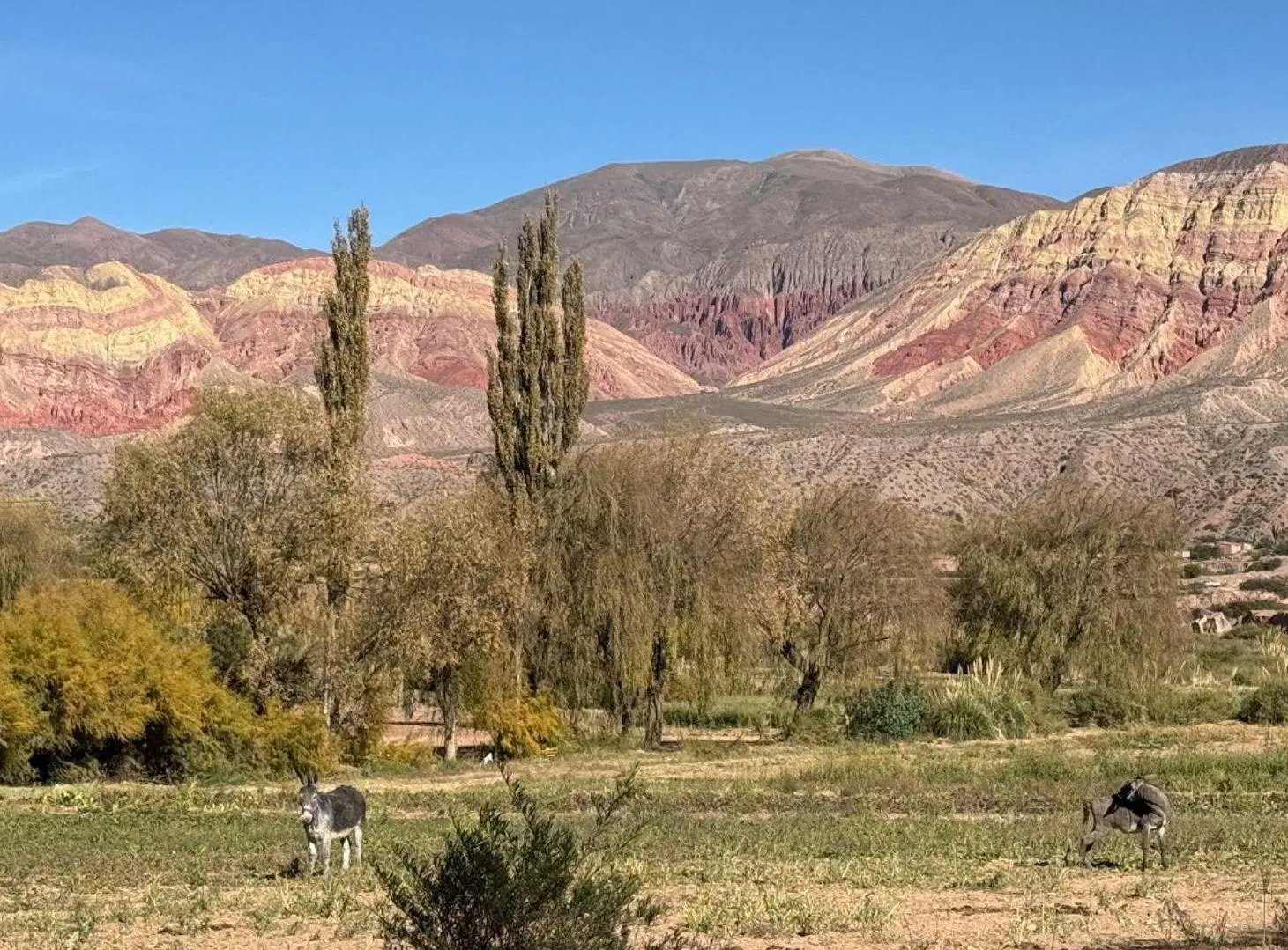 VENTA 2 HECTÁREAS  DE 20.414 m²  - HUACALERA 5