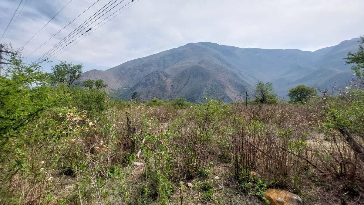 VENTA TERRENO 3001M2 BARCENA 3