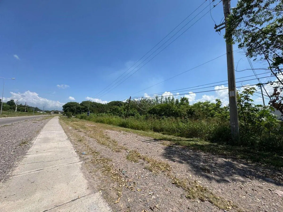 VENTA TERRENO 9204 m2 - RUTA 1 4