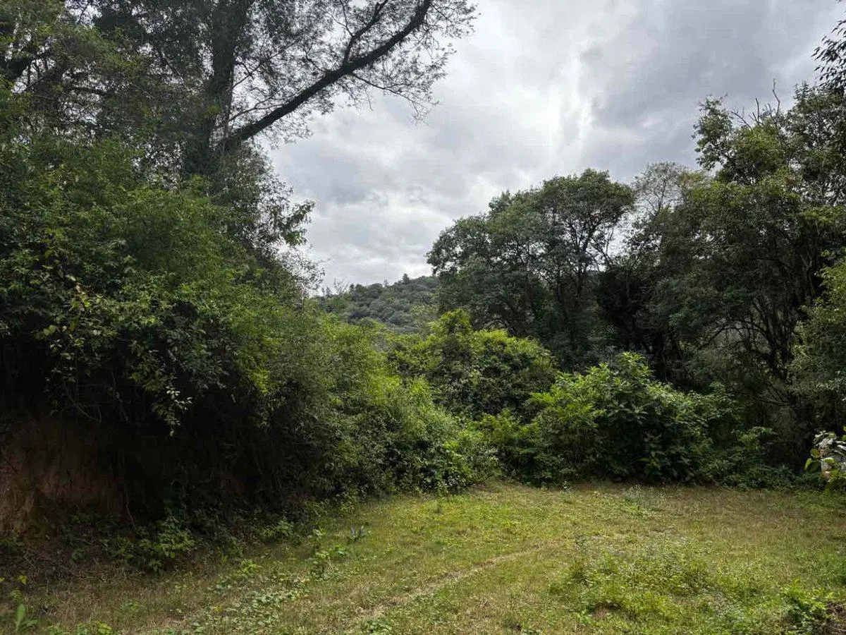 TERRENO 1518 M2 EN HORCO MOLLE Bº LOS PERALES 5