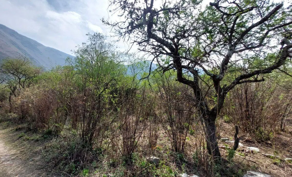 VENTA TERRENO 920,71 M2 BARCENA 5