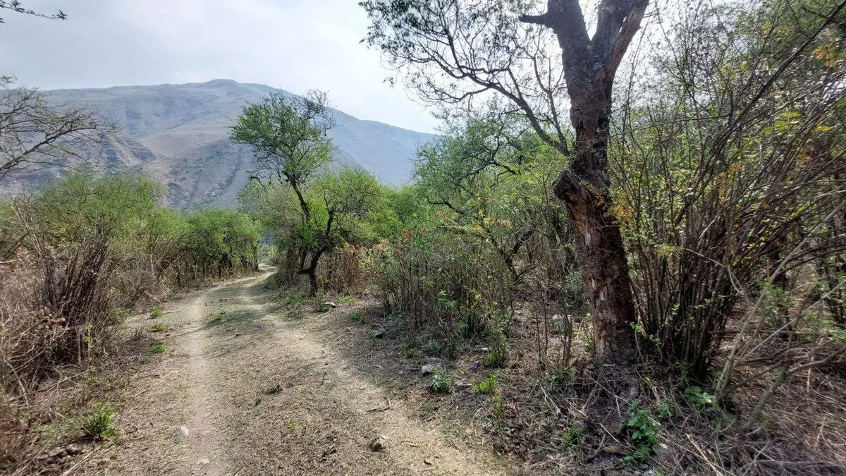 VENTA TERRENO 920,71 M2 BARCENA 4
