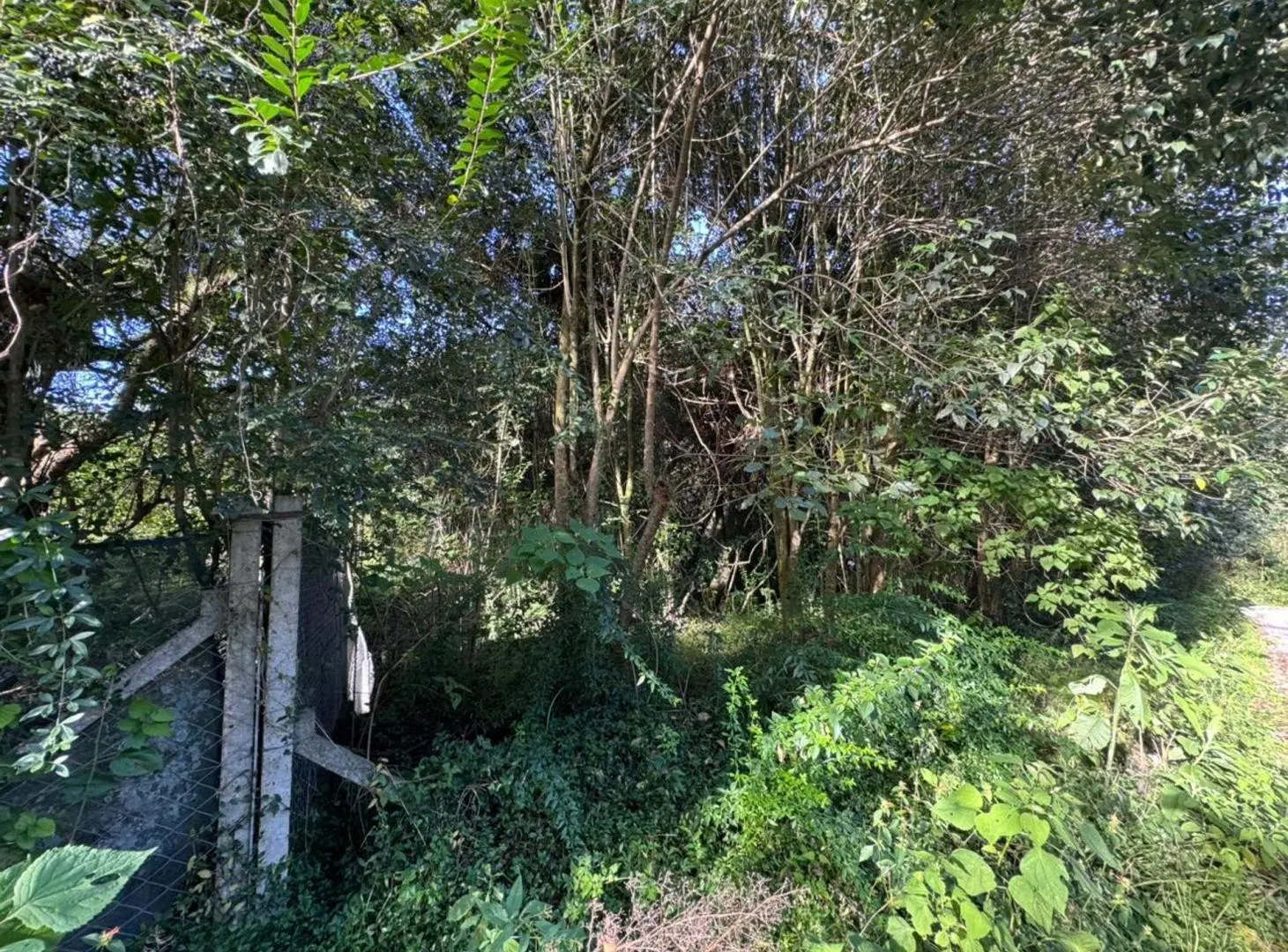 VENTA TERRENO DE. 1.058,22 M2 LOS NOGALES YALA 4