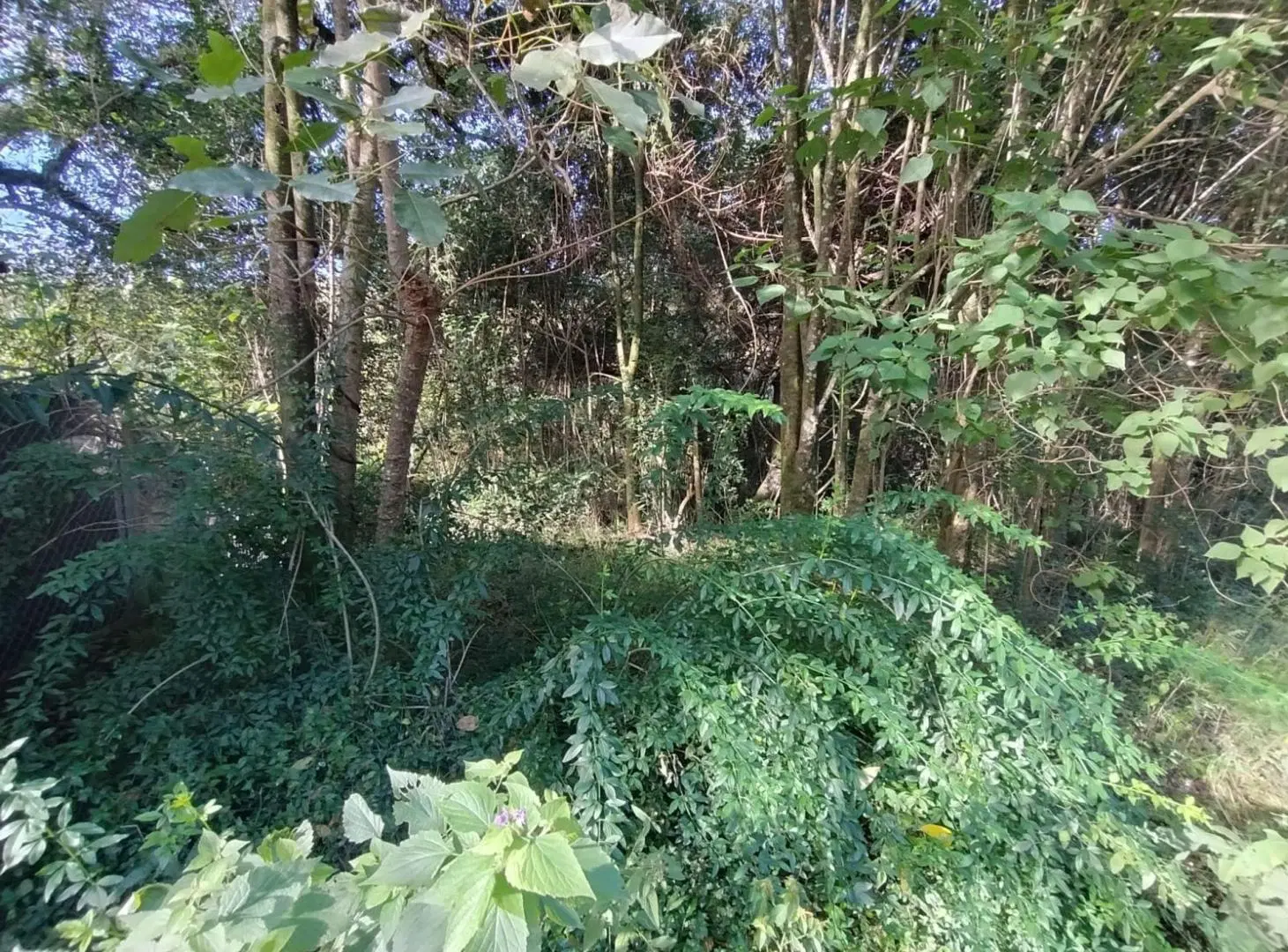 VENTA TERRENO DE. 1.058,22 M2 LOS NOGALES YALA 3