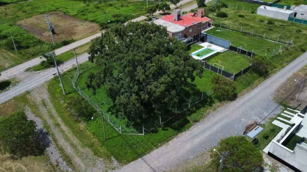 VENTA TERRENO 927M2 – BOSQUES DEL CEIBAL II 3