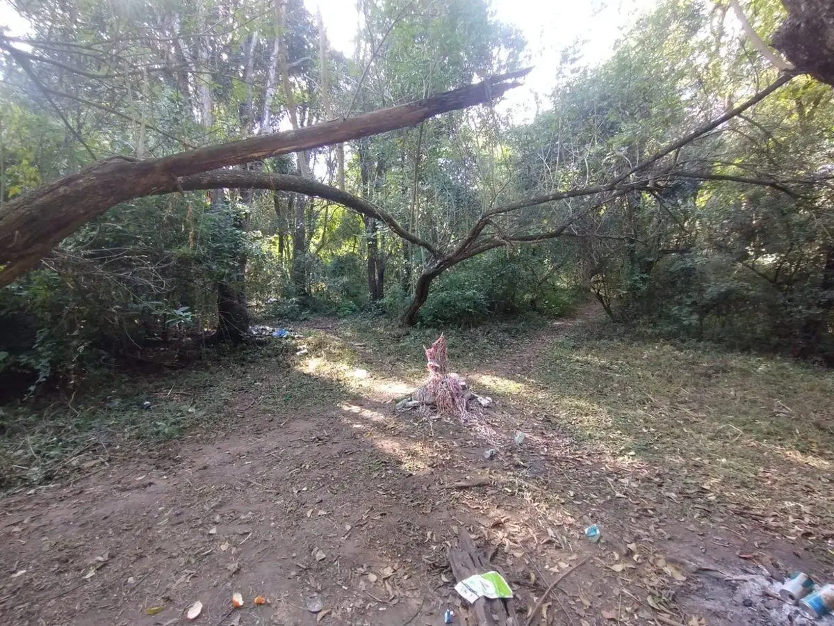 VENTA TERRENO 9667,20 M2 LOS PERALES 3