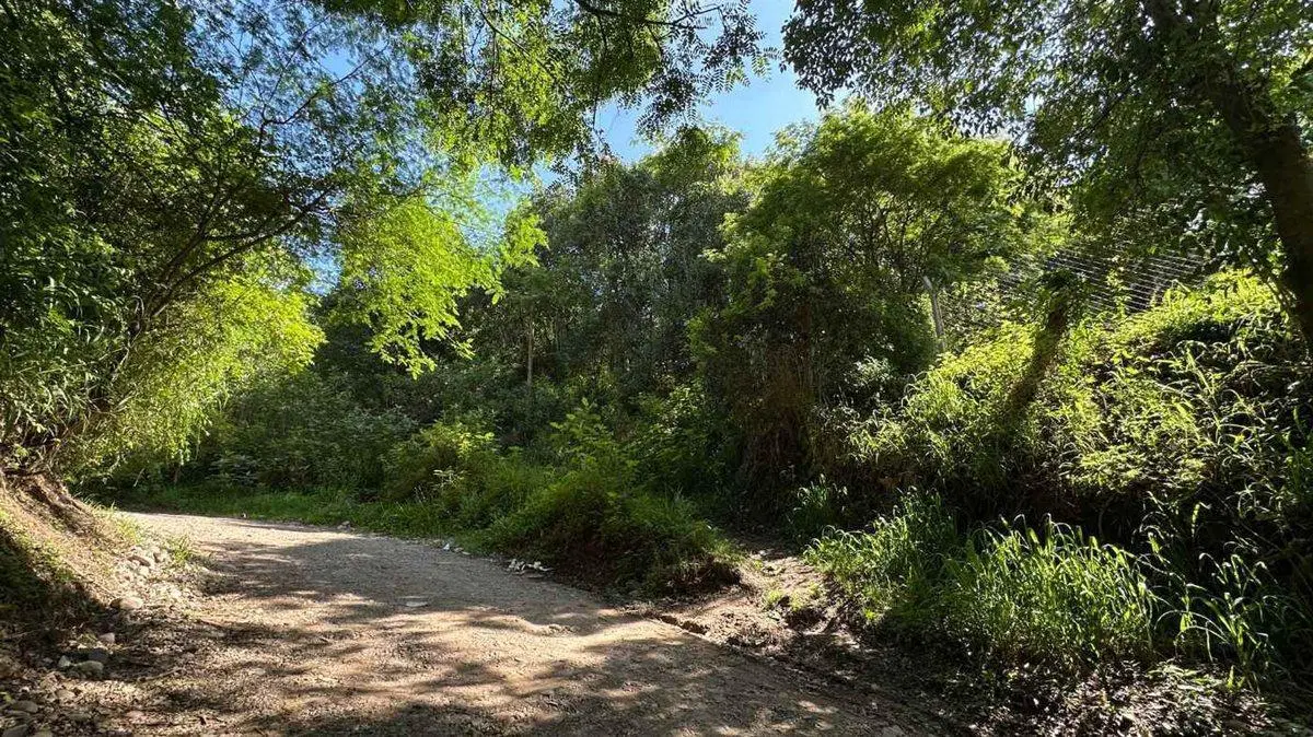 VENTA TERRENO 9667,20 M2 LOS PERALES 4