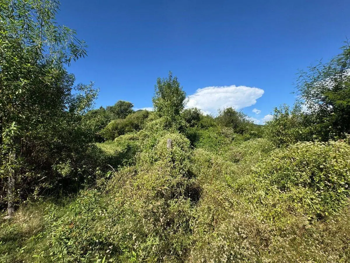 VENTA FINCA 93.749 m²- PERICO- PUESTO VIEJO- JUJUY 8