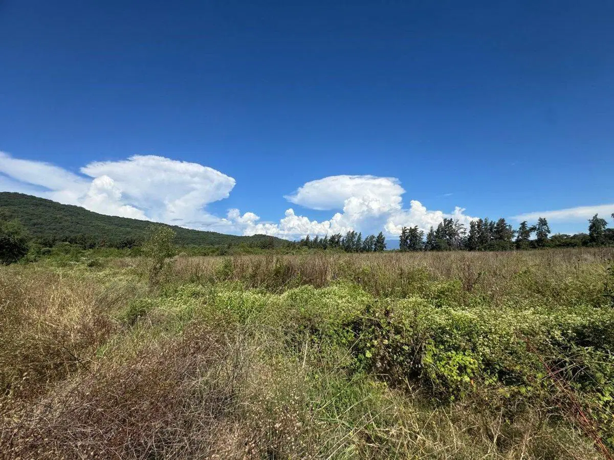 VENTA FINCA 93.749 m²- PERICO- PUESTO VIEJO- JUJUY 4