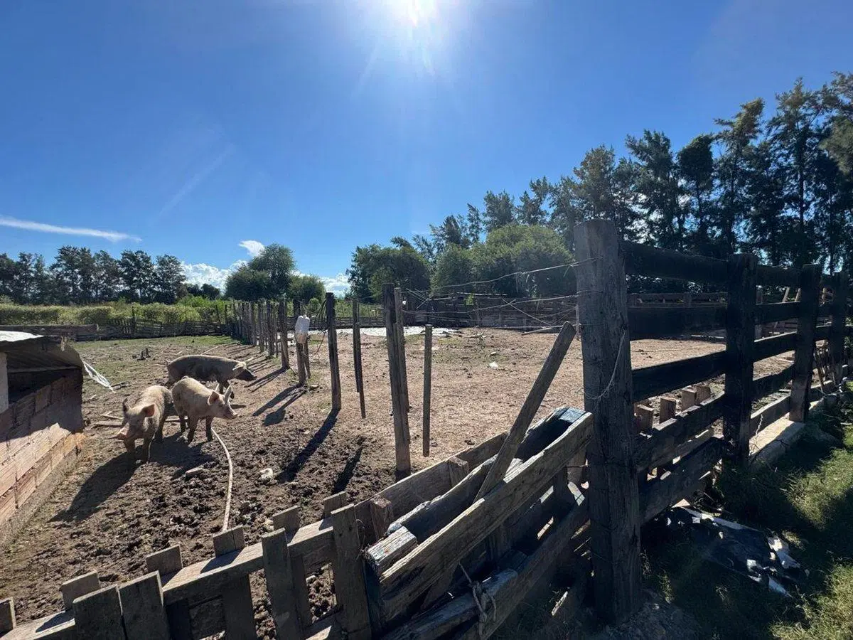 VENTA FINCA 93.749 m²- PERICO- PUESTO VIEJO- JUJUY 5