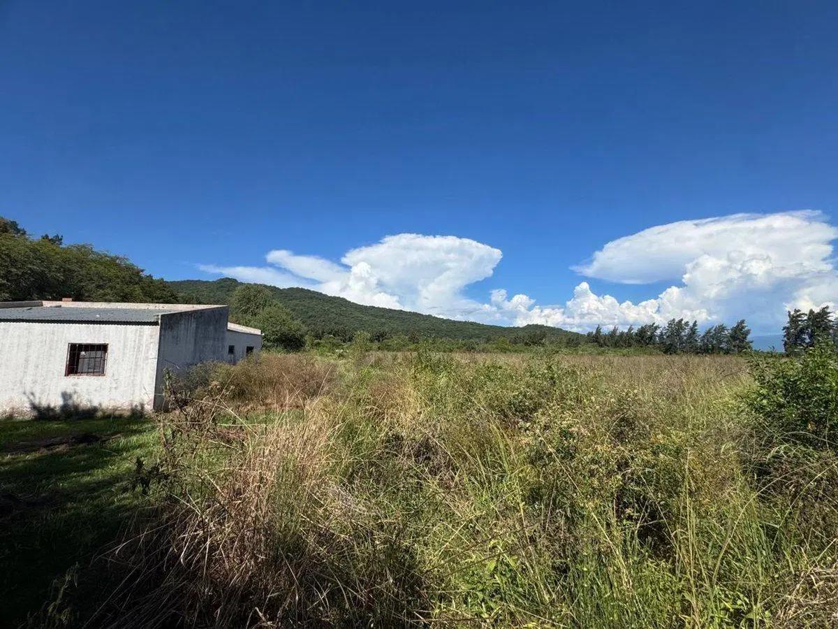 VENTA FINCA 93.749 m²- PERICO- PUESTO VIEJO- JUJUY 2