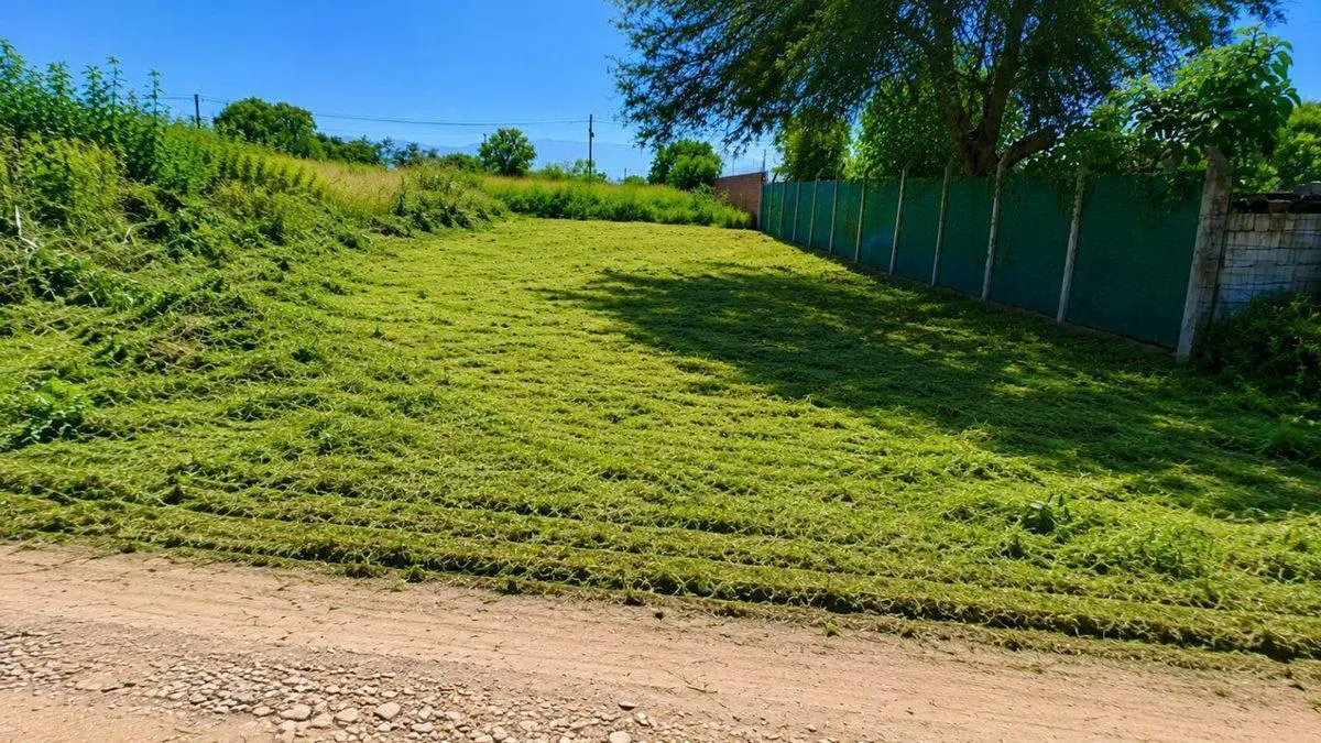 VENTA TERRENO NUEVO ALISOS 300 M2 5