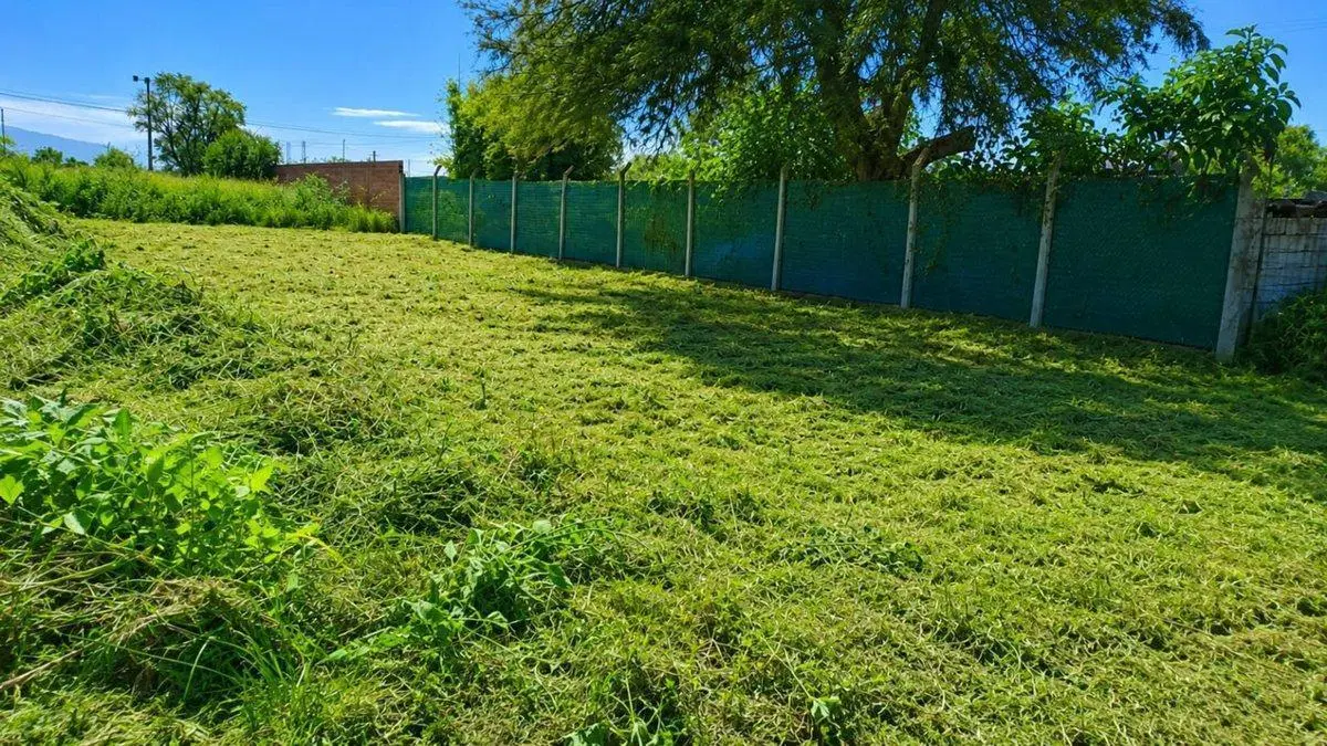 VENTA TERRENO NUEVO ALISOS 300 M2 4
