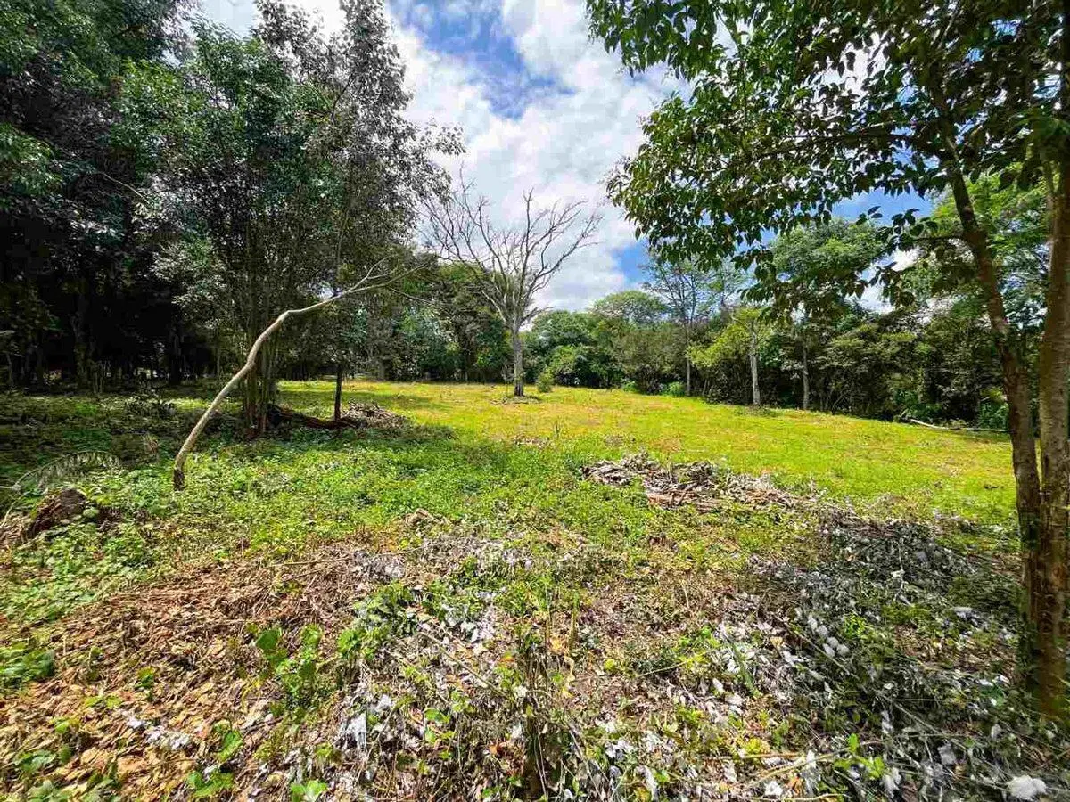 VENTA TERRENO 750 M2 - B° ALTO LA VIÑA 2