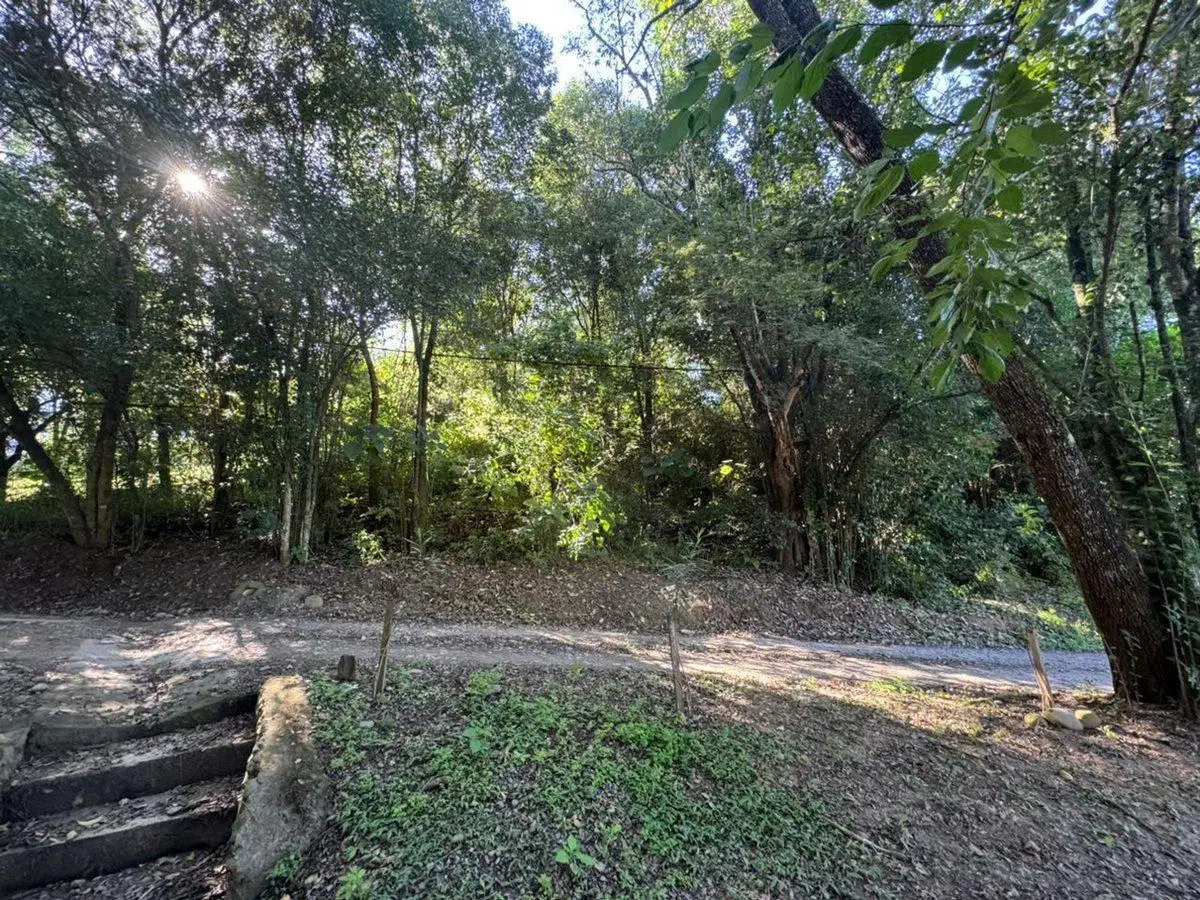 VENTA DE TERRENO EN LOS PERALES 2107,28M2 4