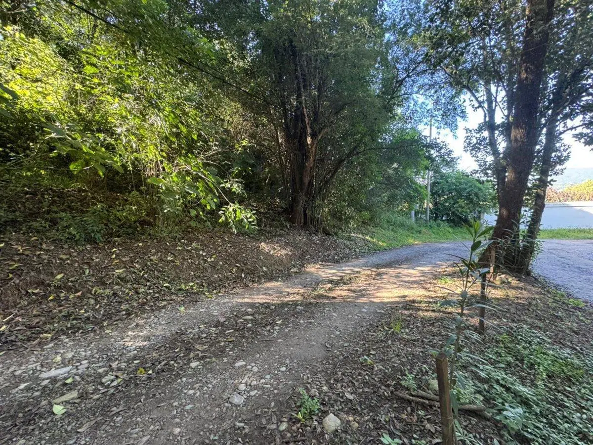 VENTA DE TERRENO EN LOS PERALES 2107,28M2 2