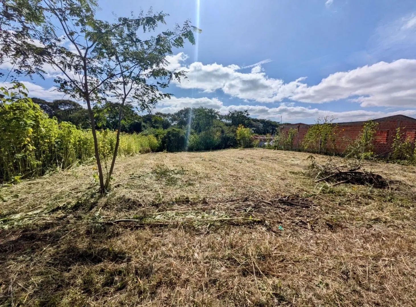 VENTA TERRENO 600 m2 EN BOSQUE DEL CEIBAL I 811 5